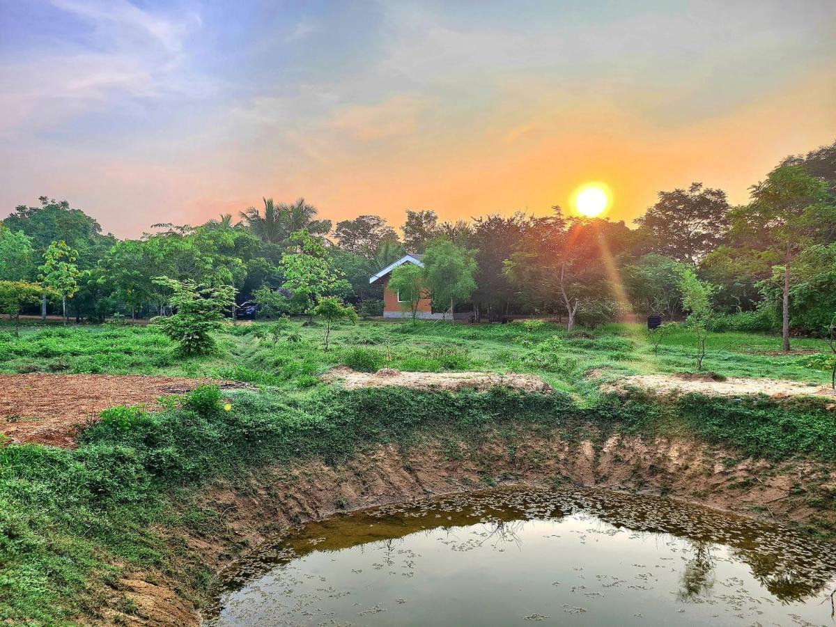 Ranakeliya Lodge - Yala Ngoại thất bức ảnh