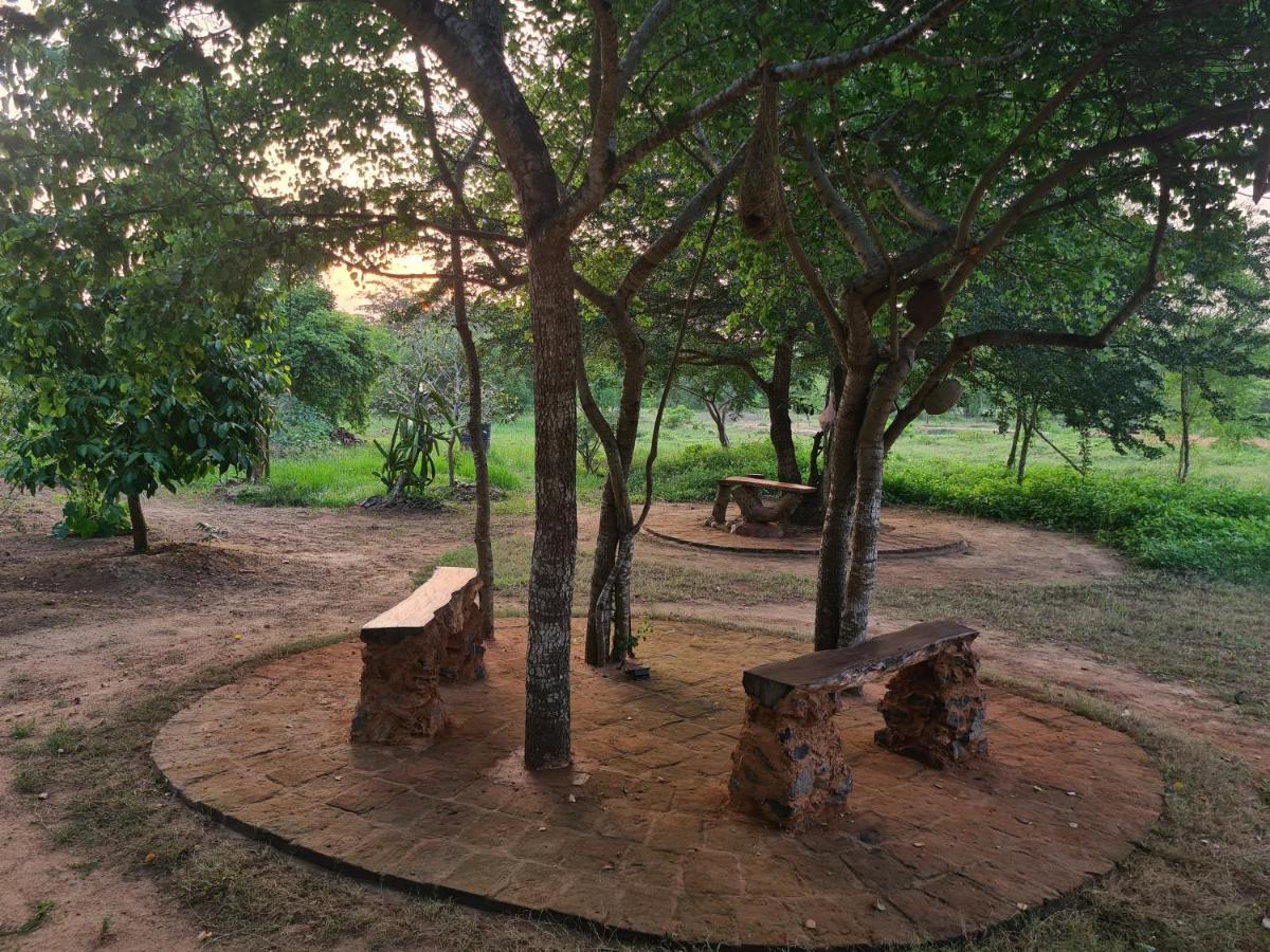 Ranakeliya Lodge - Yala Ngoại thất bức ảnh