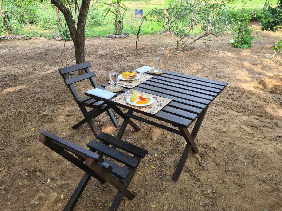 Ranakeliya Lodge - Yala Ngoại thất bức ảnh