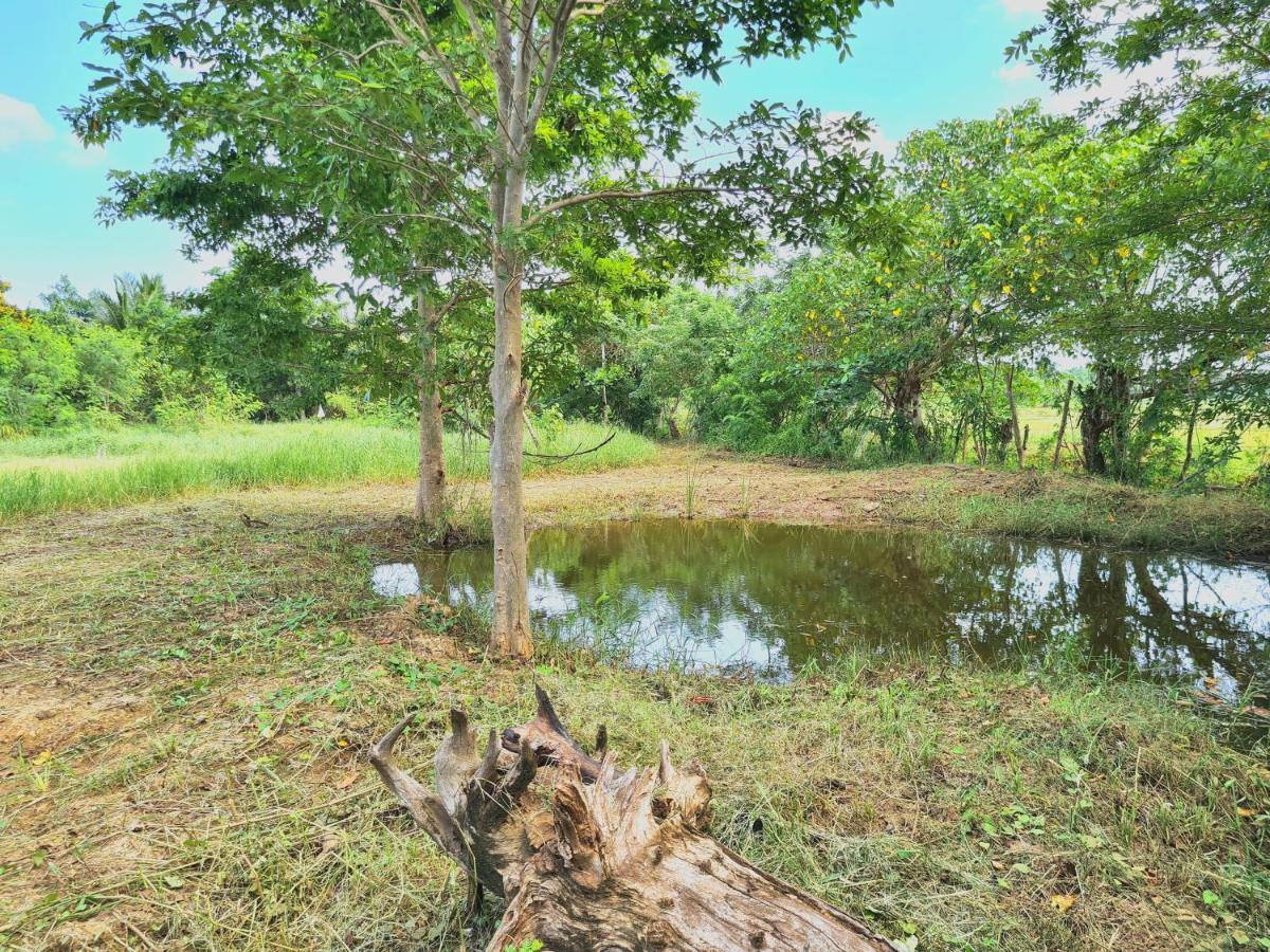 Ranakeliya Lodge - Yala Ngoại thất bức ảnh