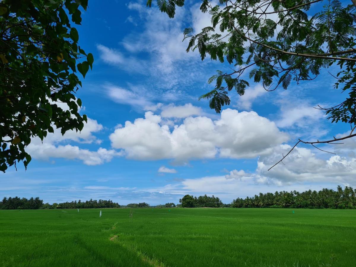 Ranakeliya Lodge - Yala Ngoại thất bức ảnh