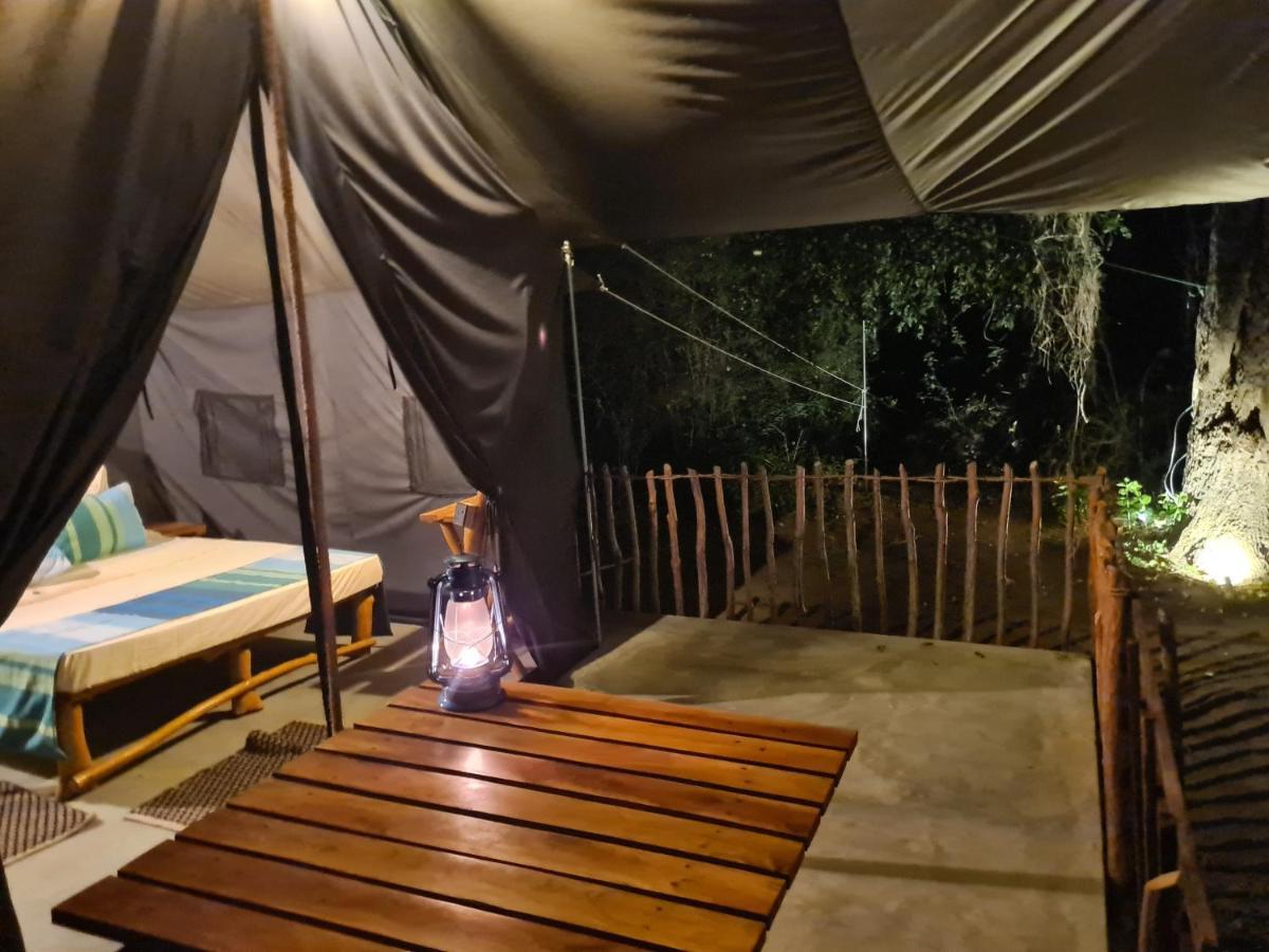 Ranakeliya Lodge - Yala Ngoại thất bức ảnh