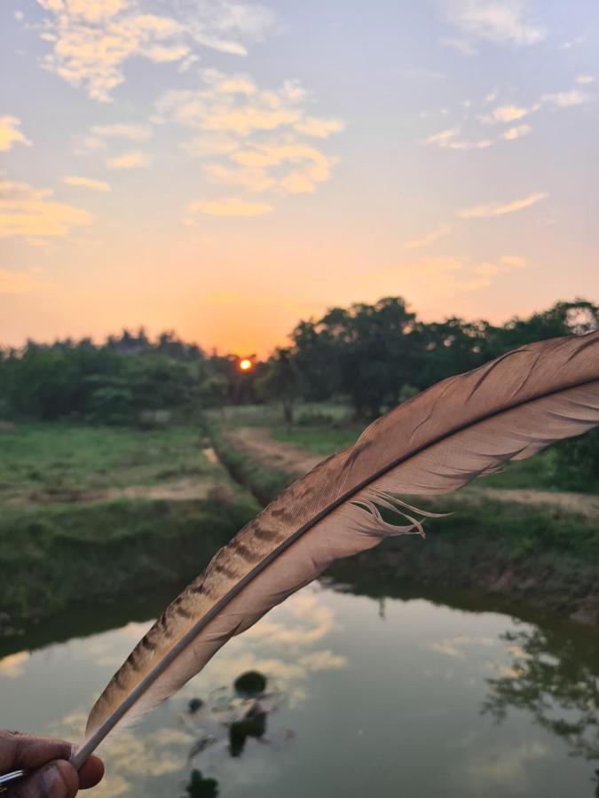 Ranakeliya Lodge - Yala Ngoại thất bức ảnh