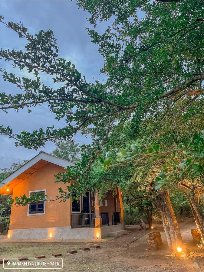 Ranakeliya Lodge - Yala Ngoại thất bức ảnh